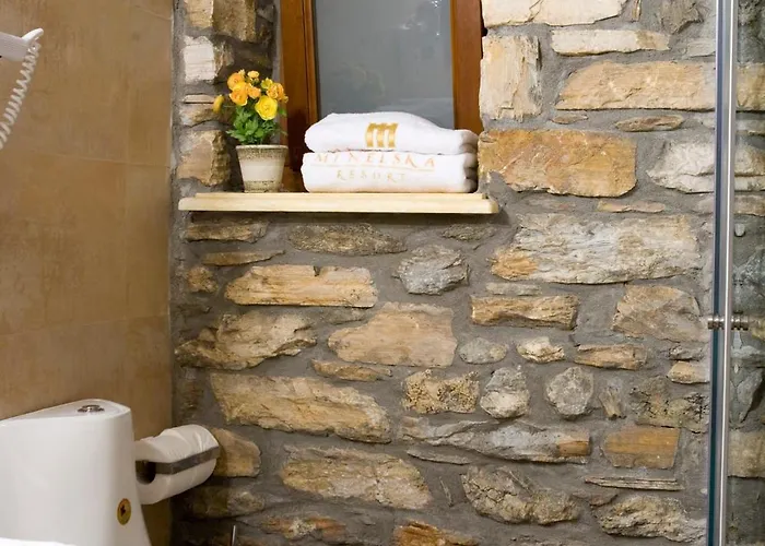 Minelska Aparthotel 3*